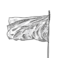 flagi poznań